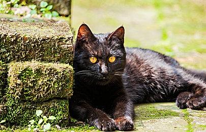 《暗黑破坏神4》公开Beta测试新预告 准备加入战斗！